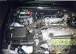 GREEN kit Honda Civic VI (1995-2001) 1.4i 55kw (MB2/MB8)