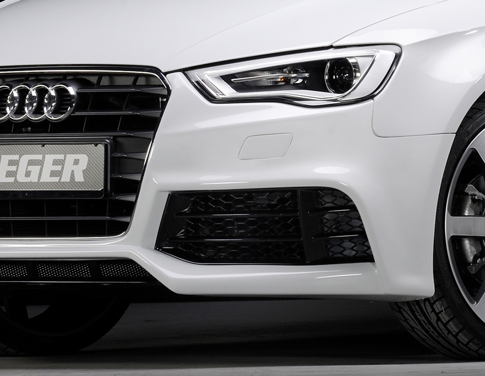 Luchtfilter linkerkant voor Audi A/S serie Rieger